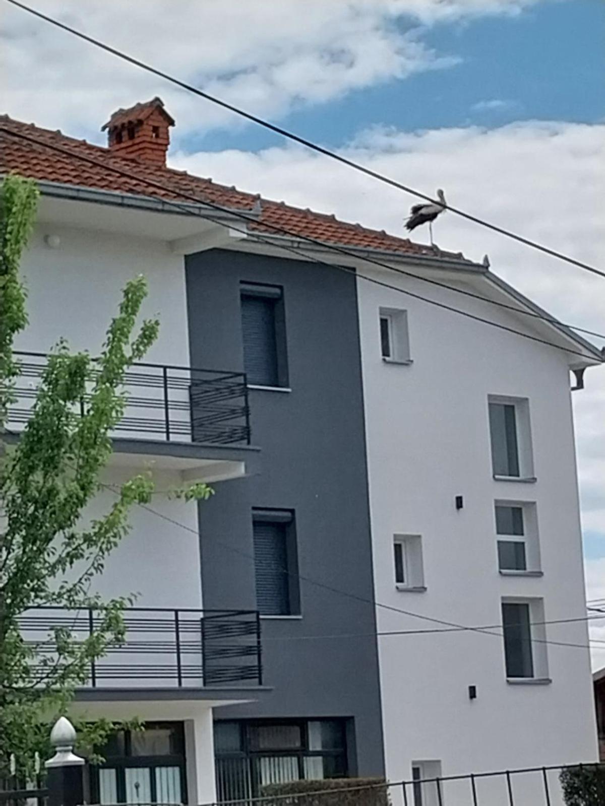Ambient Apartments Struga Buitenkant foto